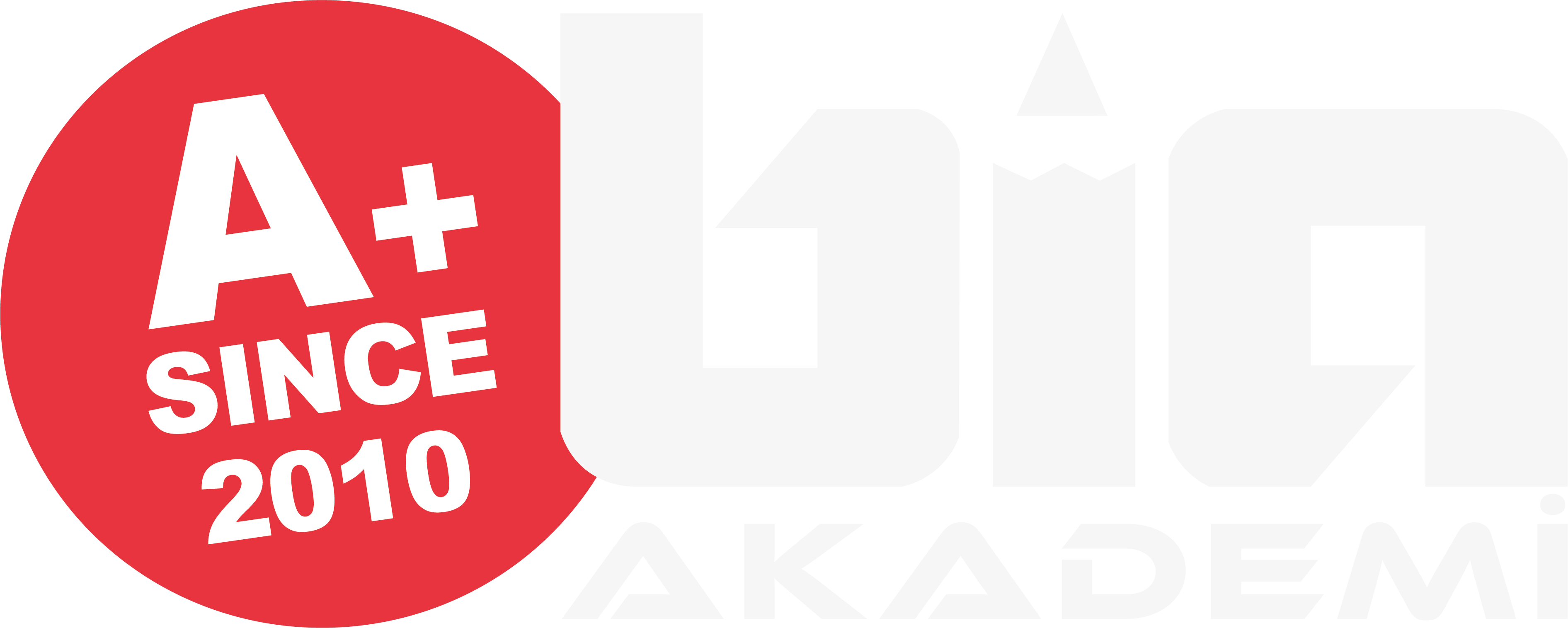 Bia Akademi